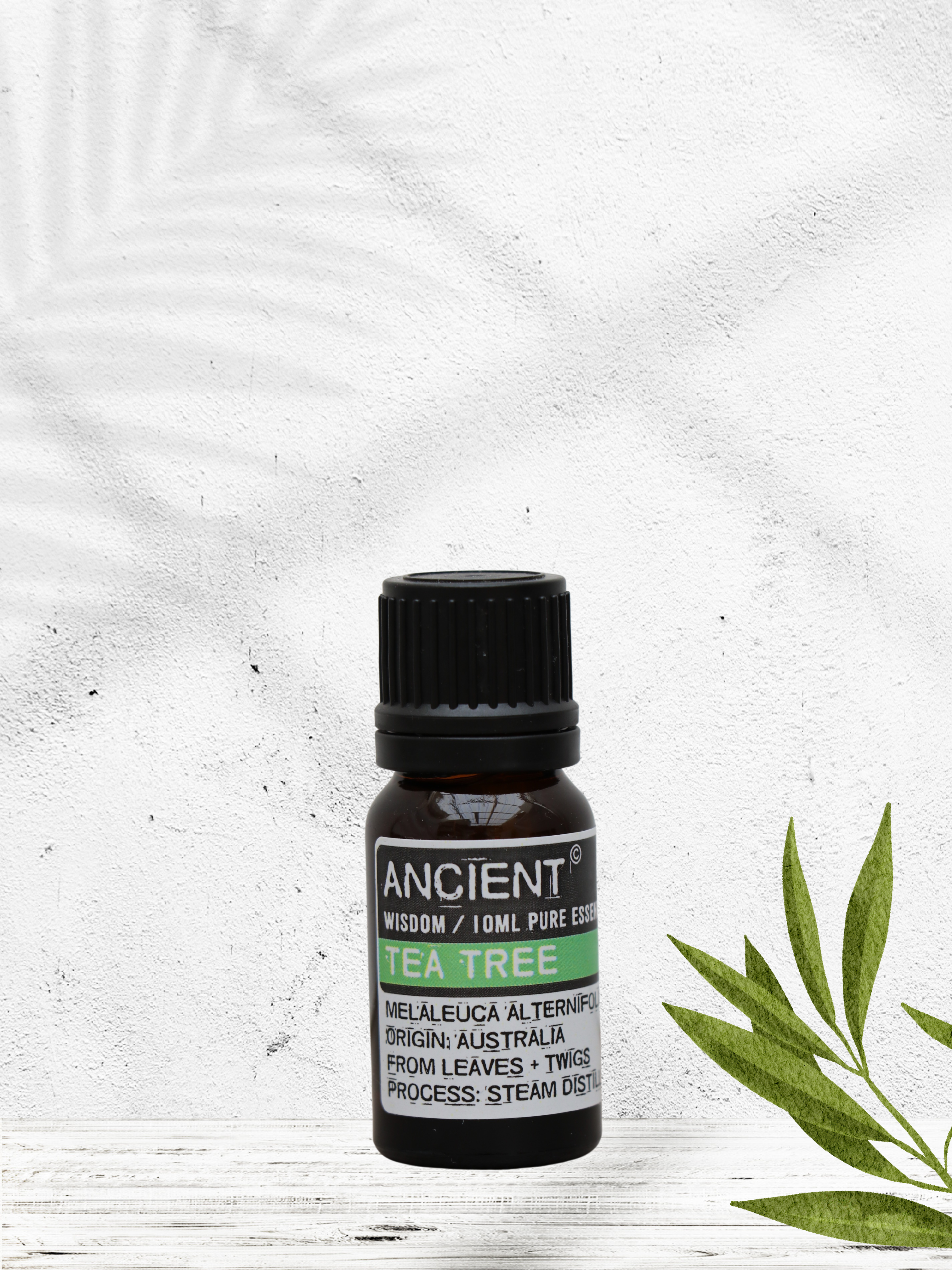 Tea tree æterisk olie 10 ml