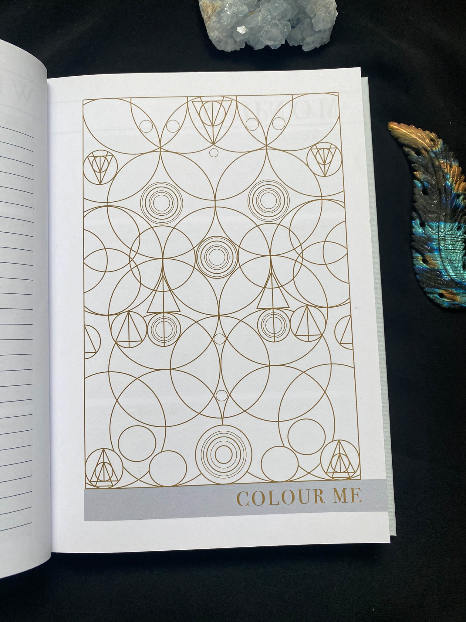 LSW Mind notes journal