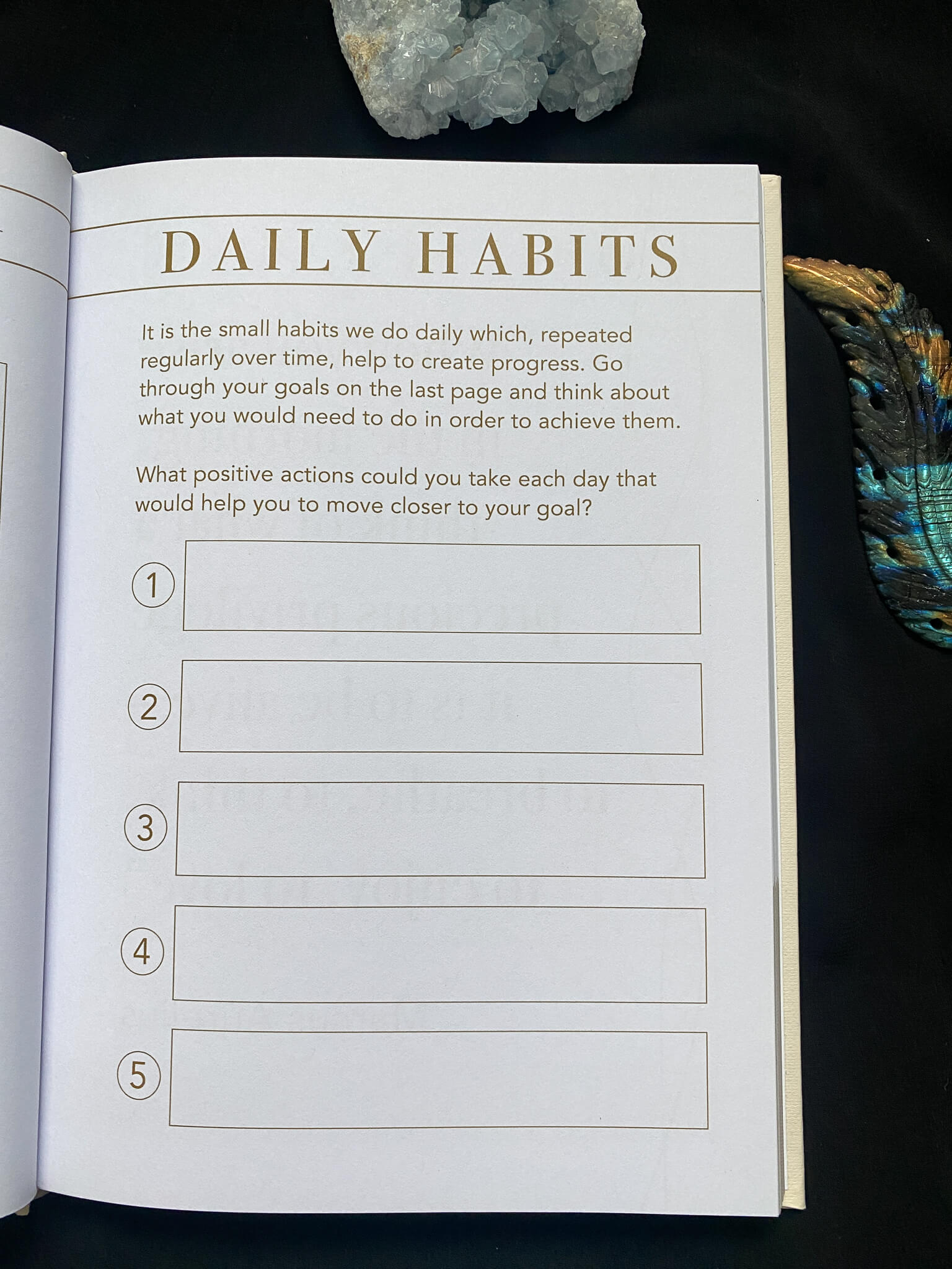 LSW Morning Journal