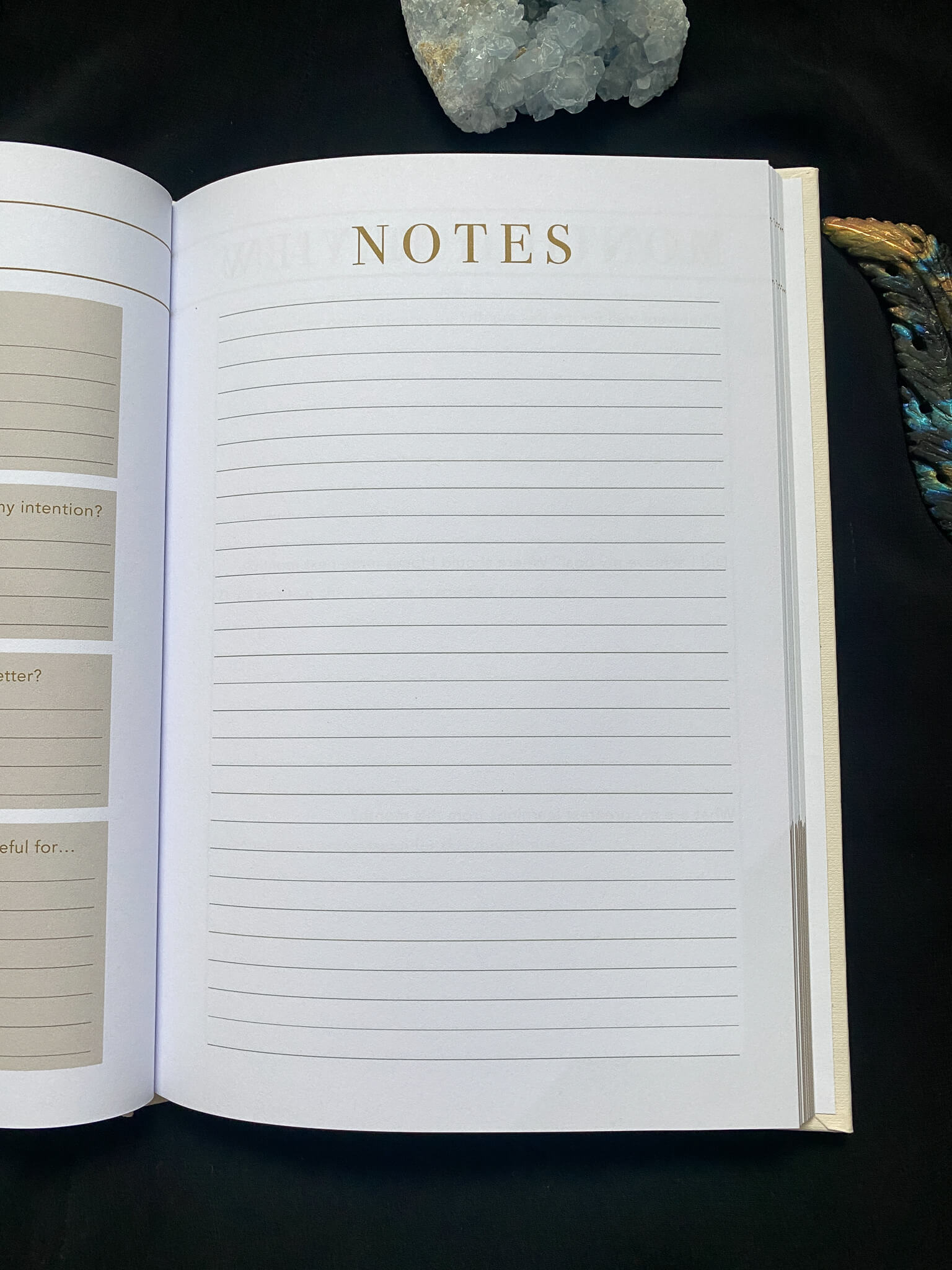 LSW Morning Journal