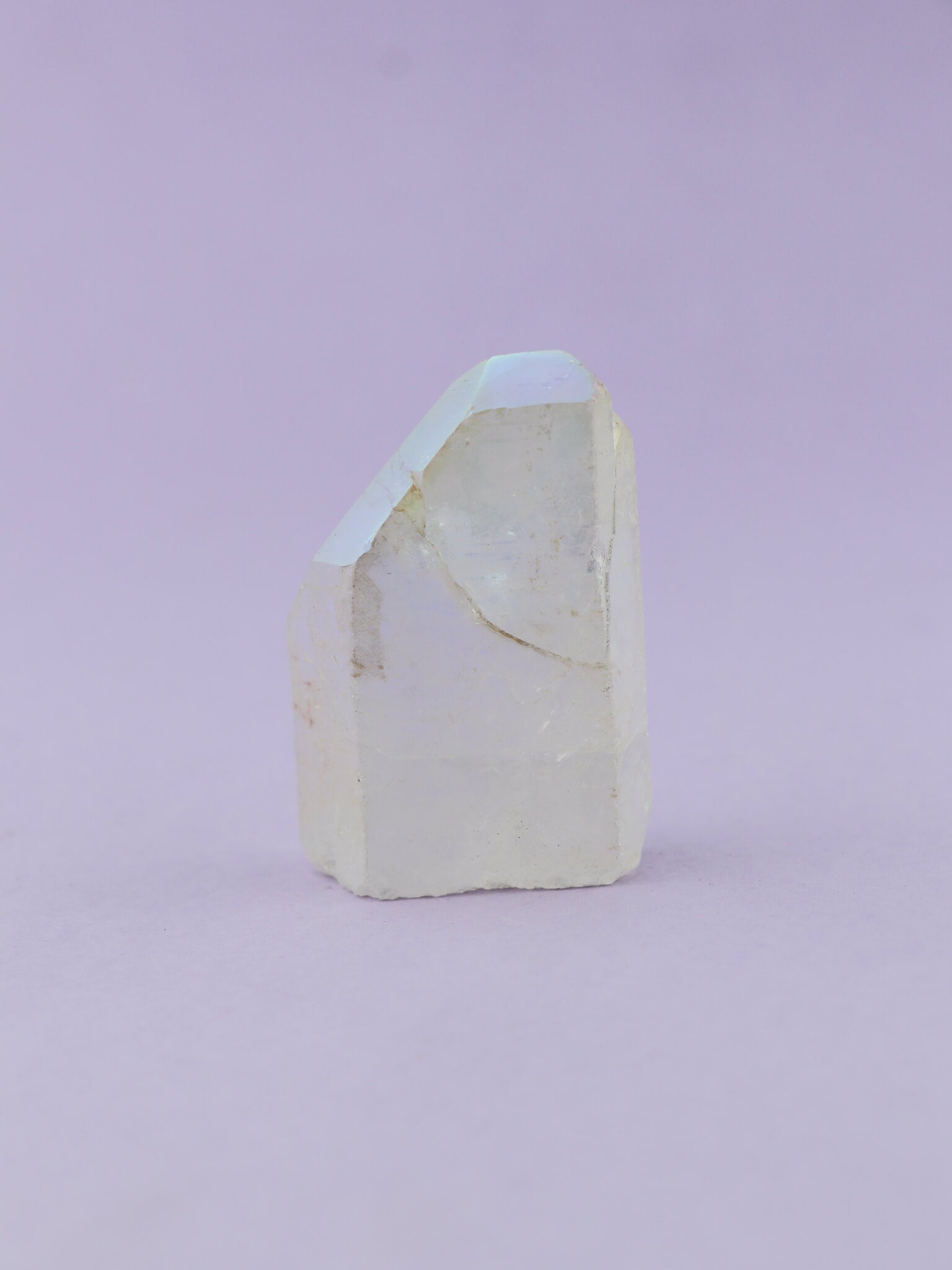 Angel Aura Spids Nr. 4 - CuriousCompassion.dk
