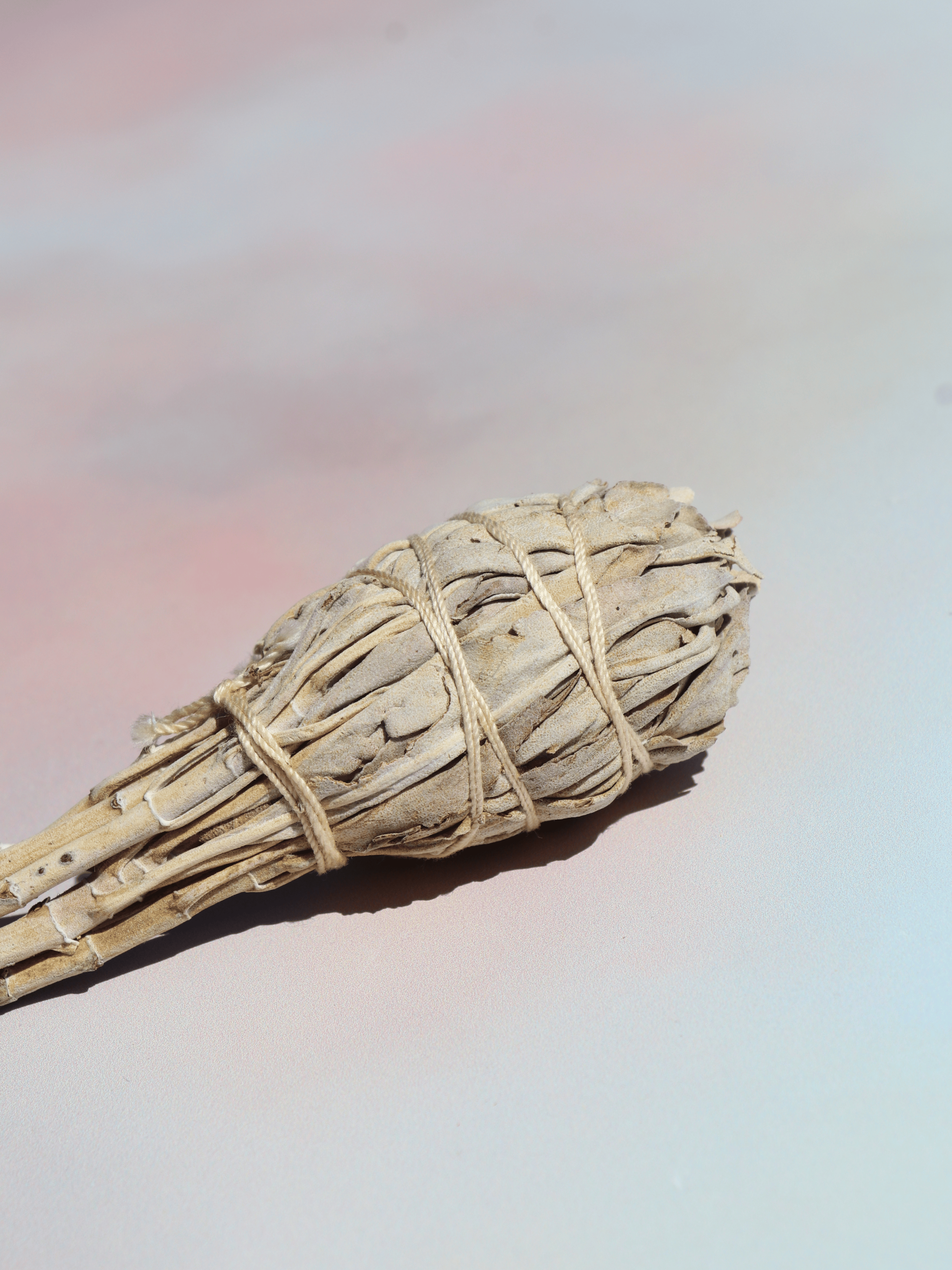 Salvie smudge stick