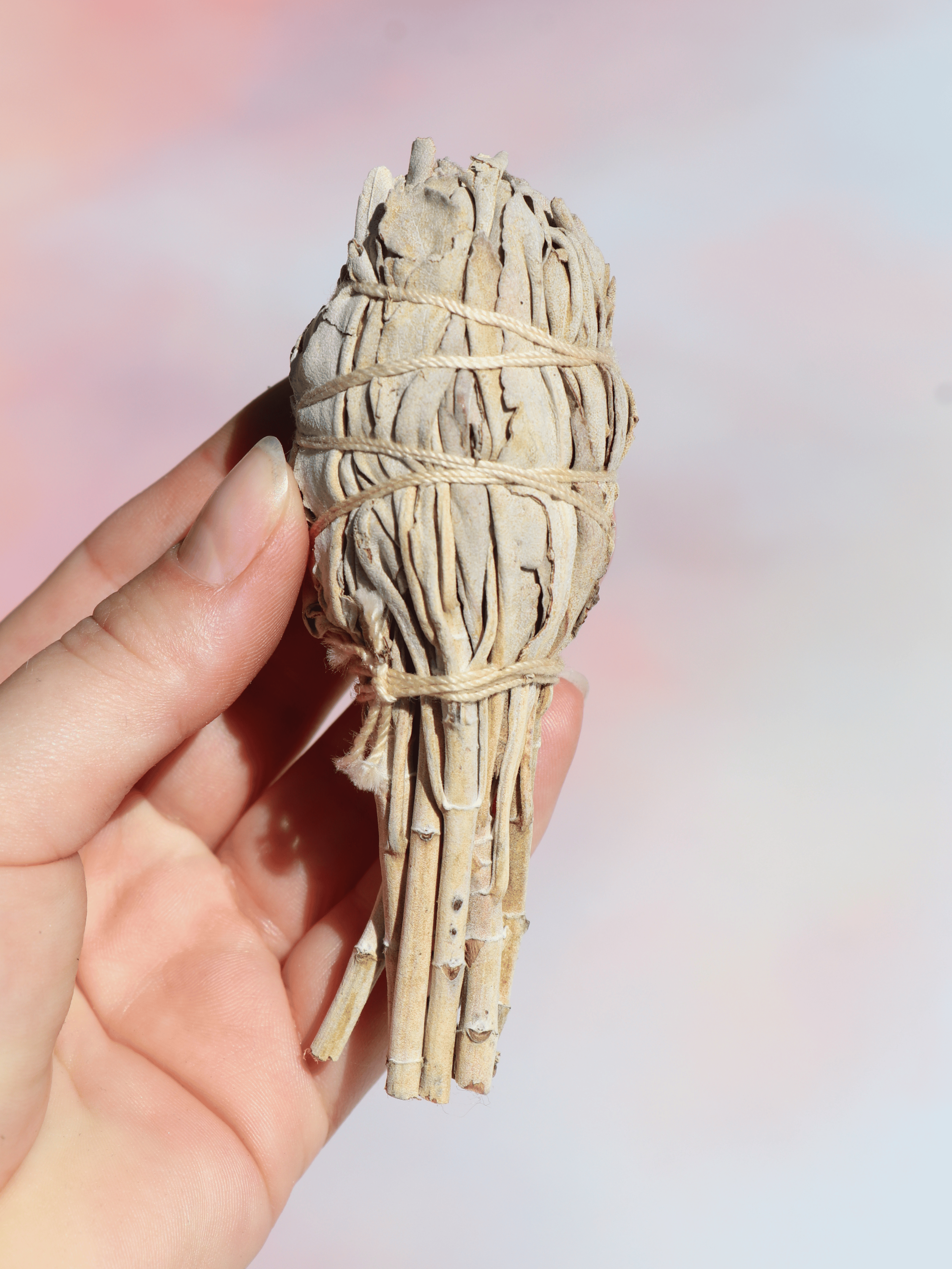 Salvie smudge stick