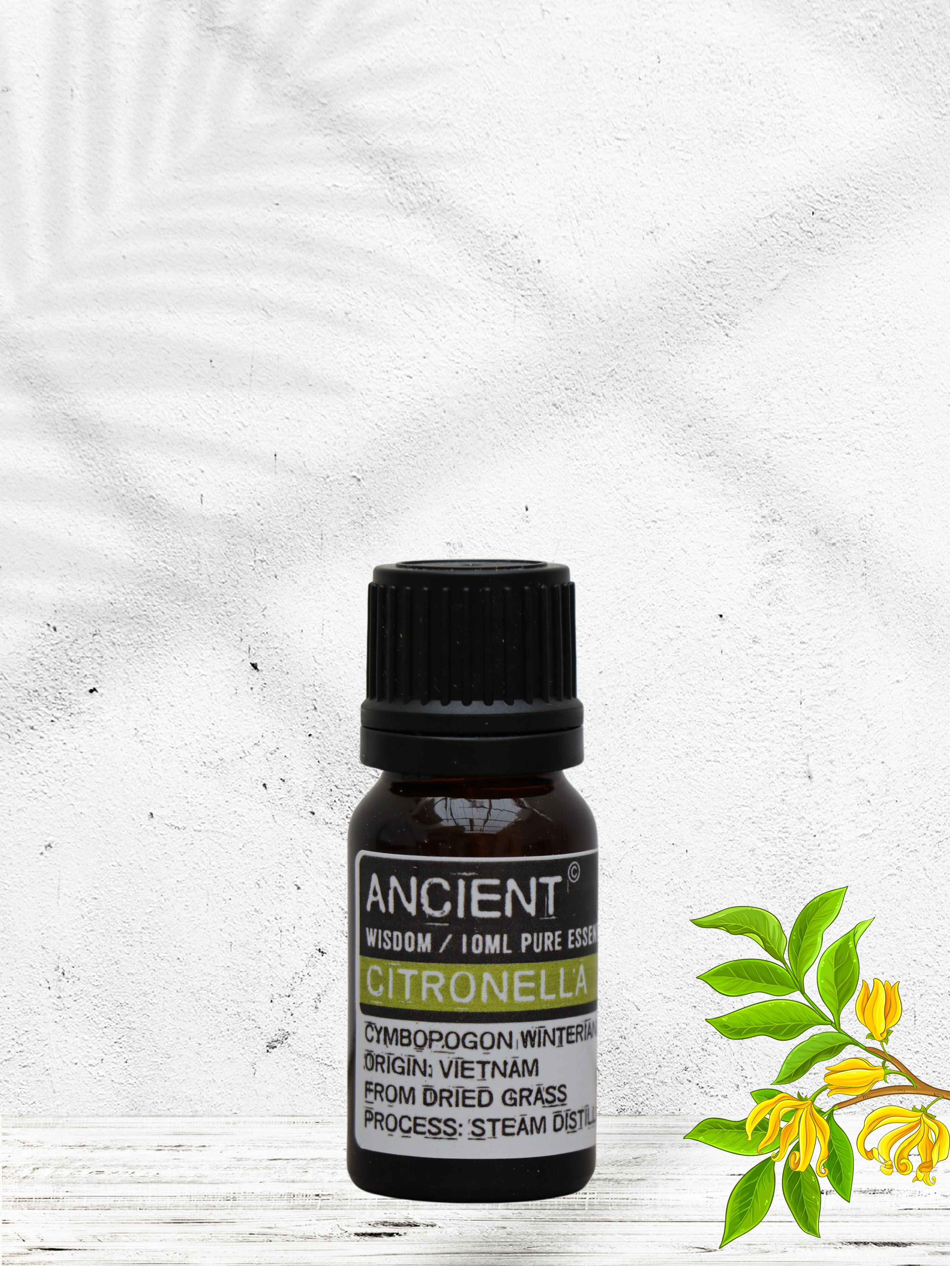 Citronella æterisk olie 10 ml