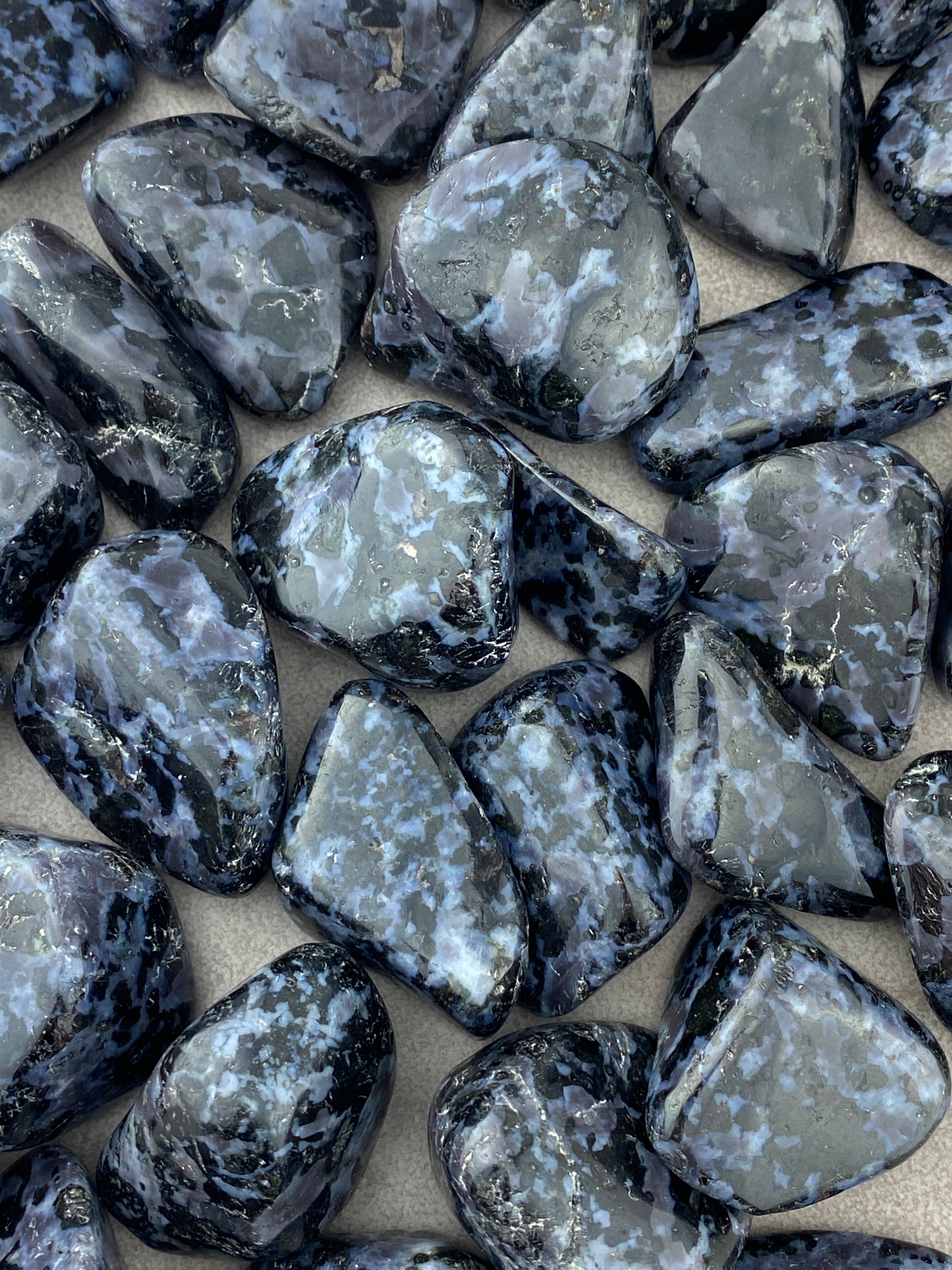 Gabbro - CuriousCompassion.dk