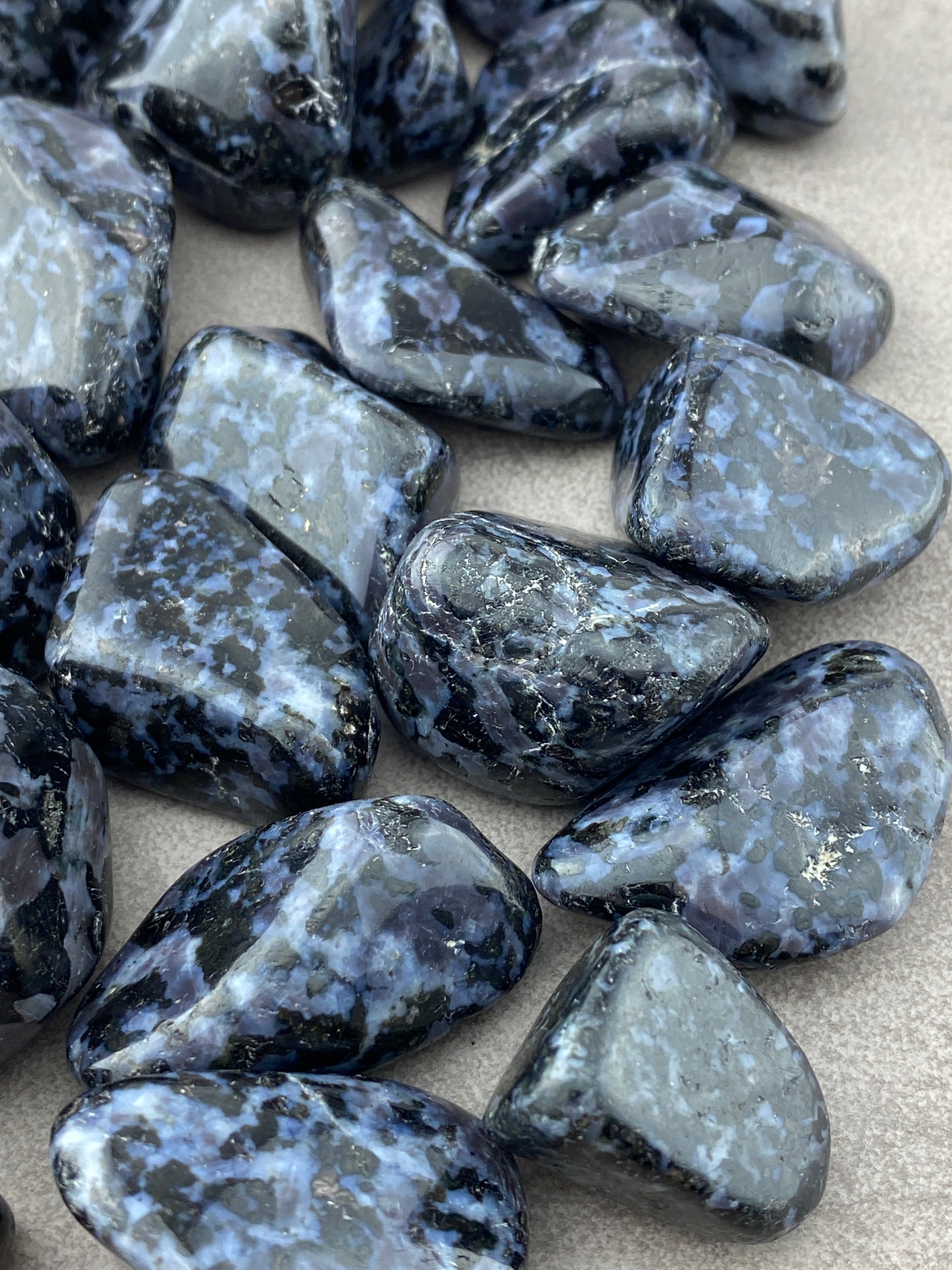 Gabbro - CuriousCompassion.dk