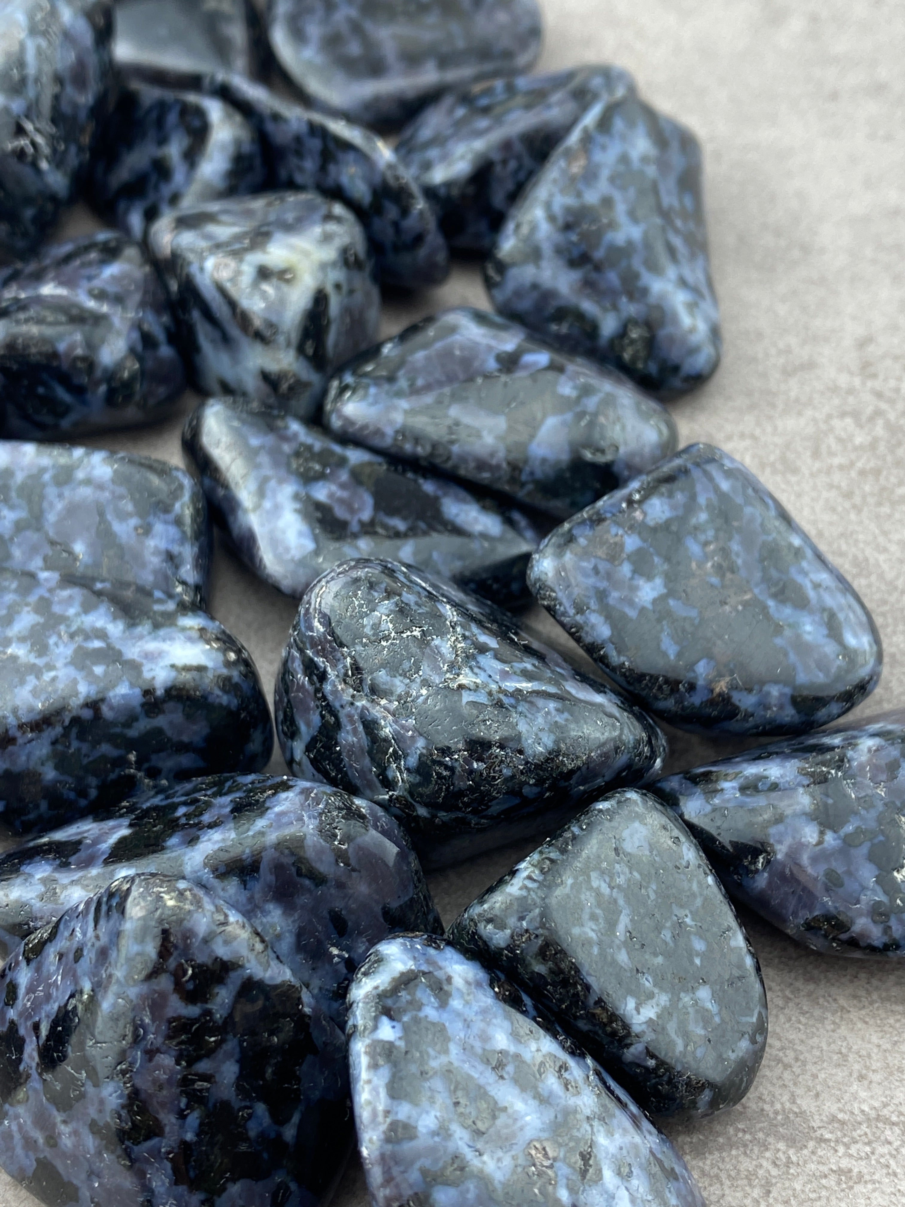Gabbro - CuriousCompassion.dk