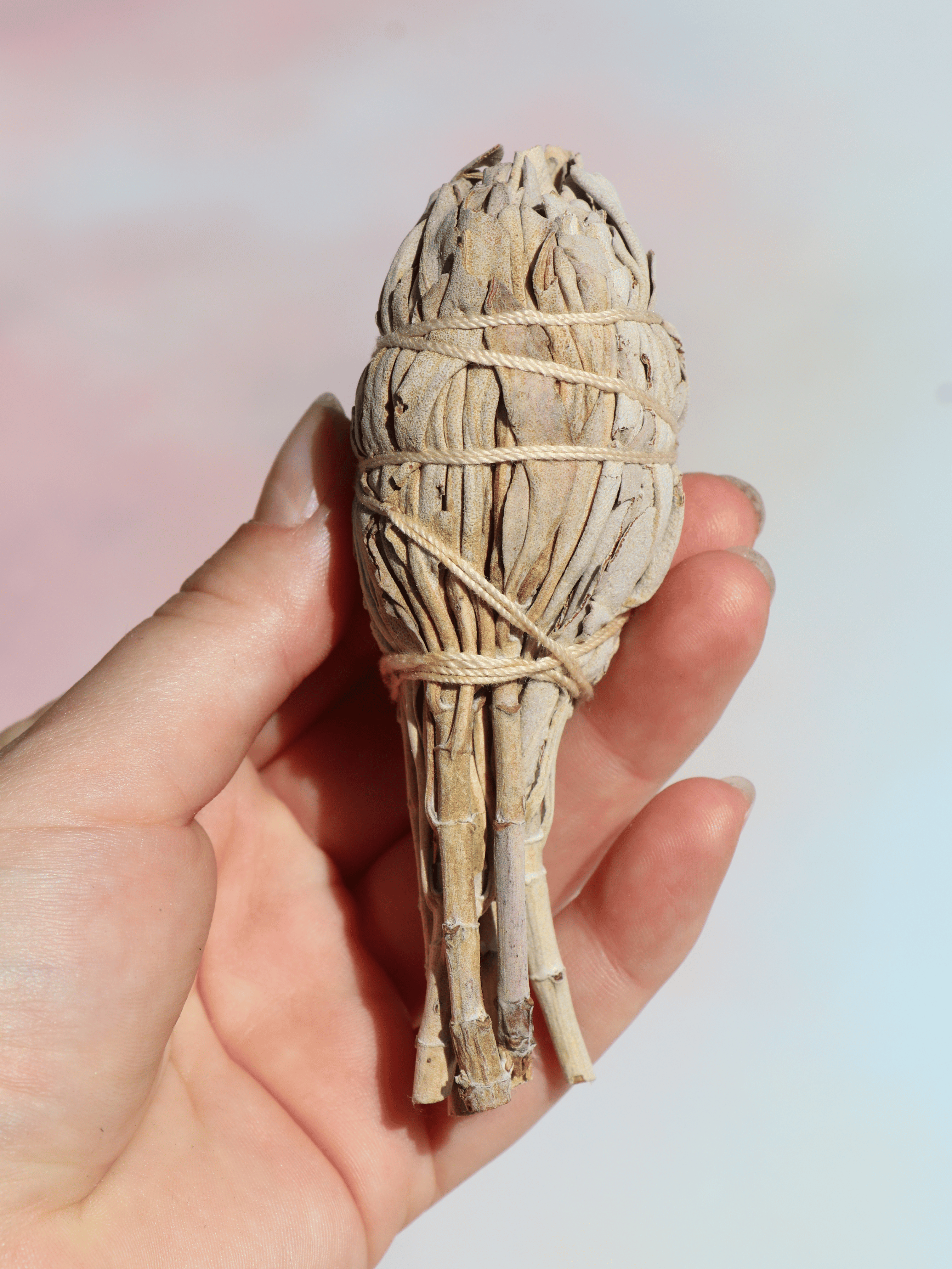Salvie smudge stick