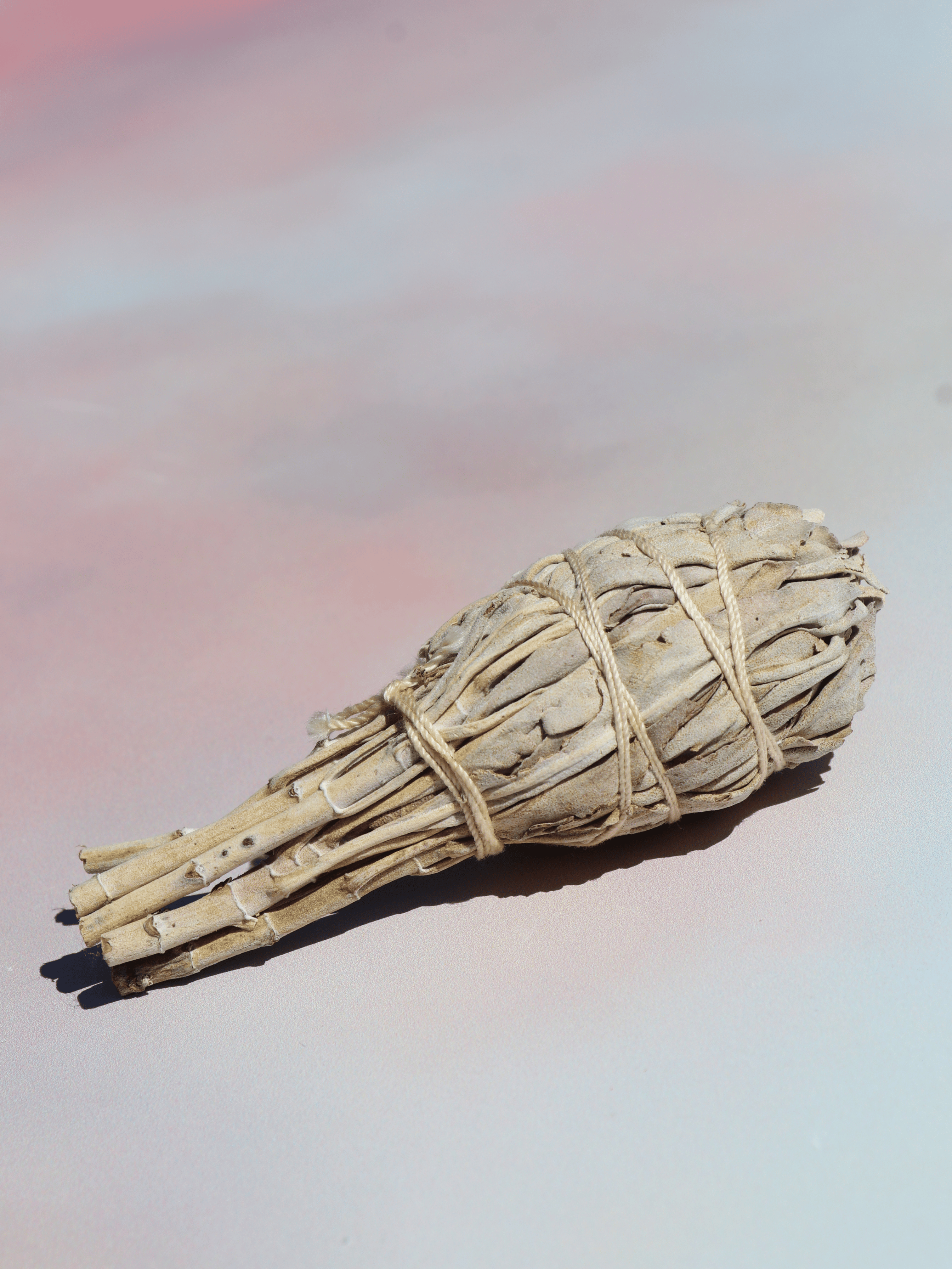 Salvie smudge stick